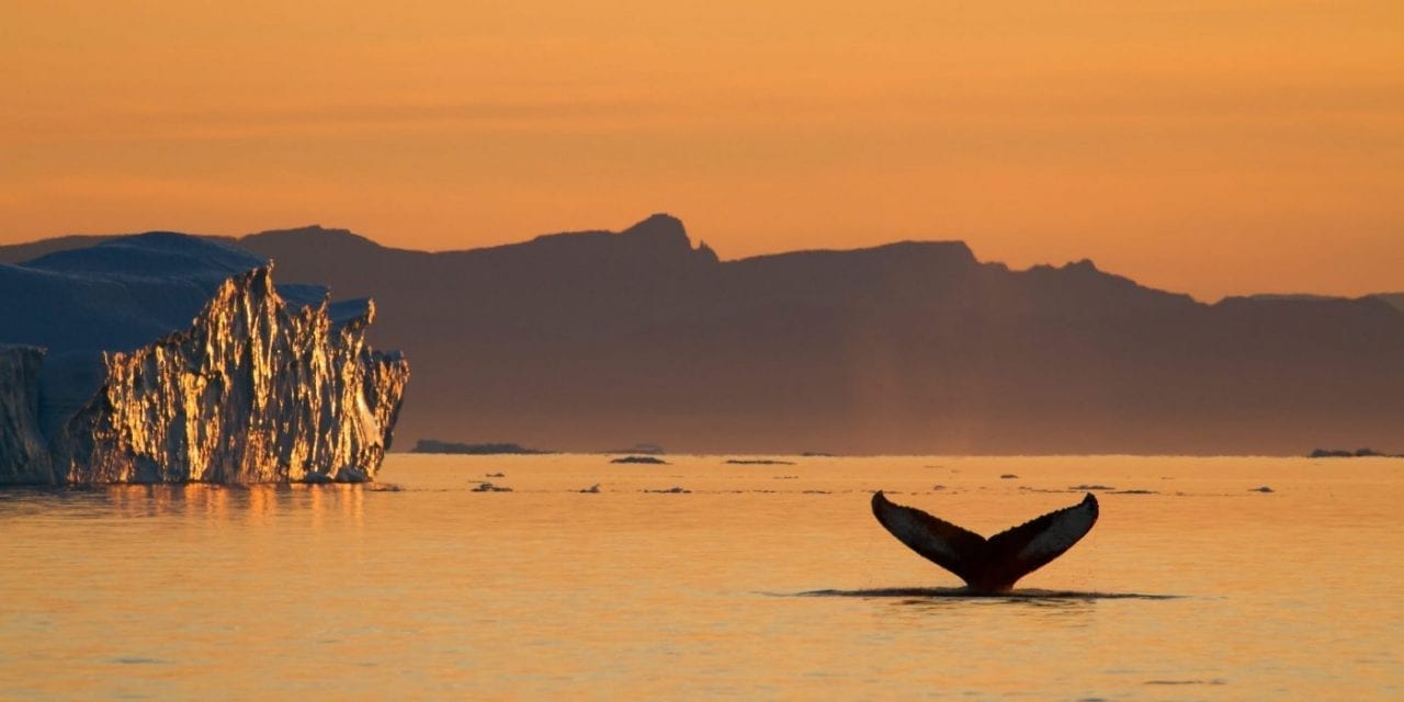 Photo by Julie Skotte - Visit Greenland