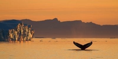 Photo by Julie Skotte - Visit Greenland