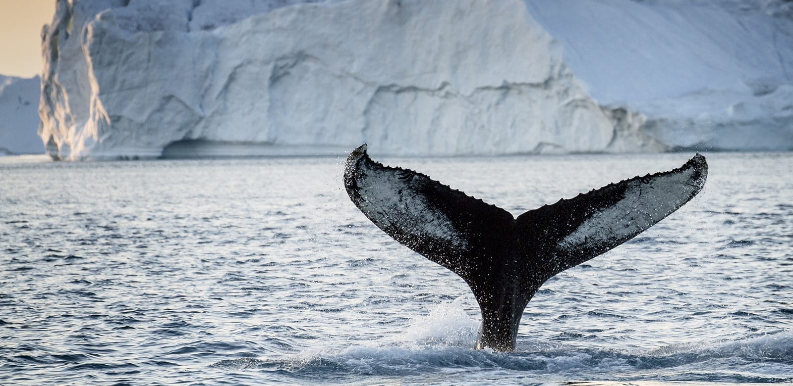 travel guide books greenland