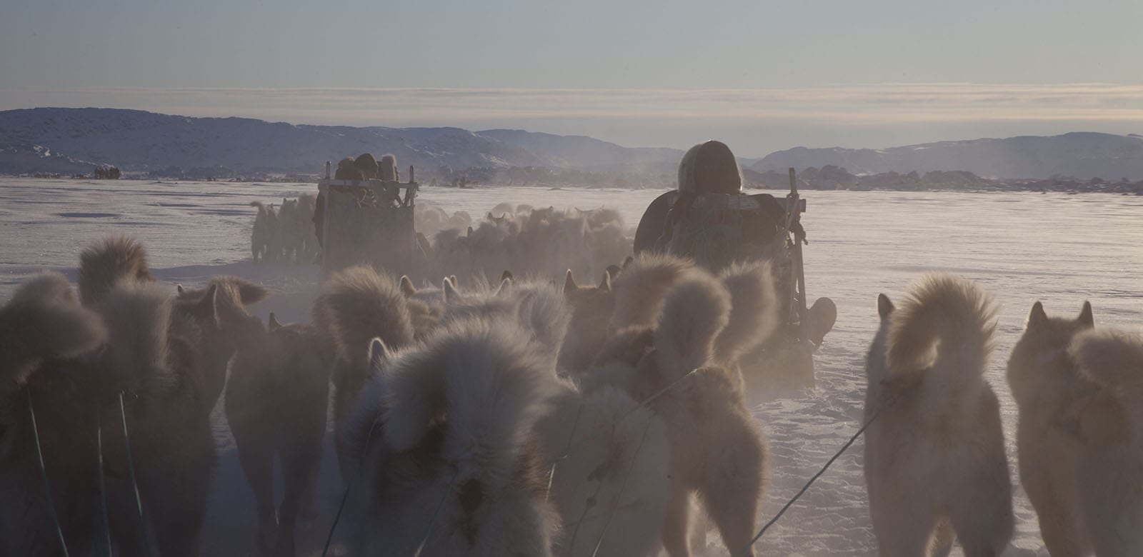 Photographer: David Trood - Visit Greenland