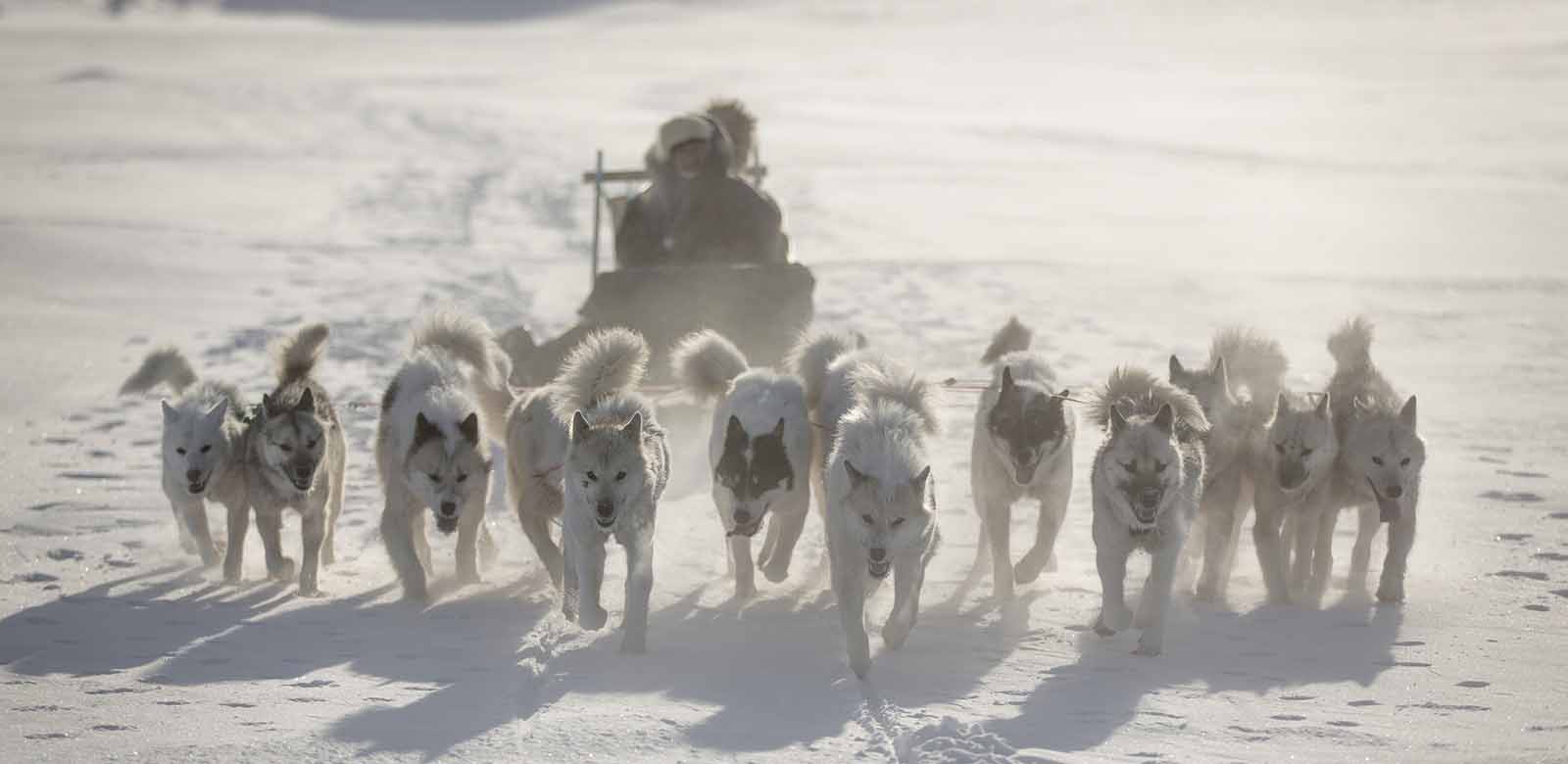 Photographer: Mads Pihl - Visit Greenland