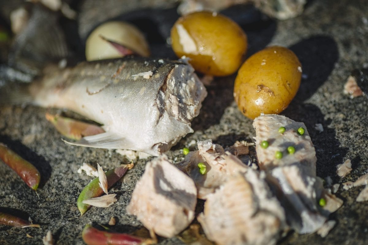 Frisk frisk med grøntsager og kartofler lavet direkte på varme sten på stranden nær Narsaq i Sydgrønland - Fotograf: